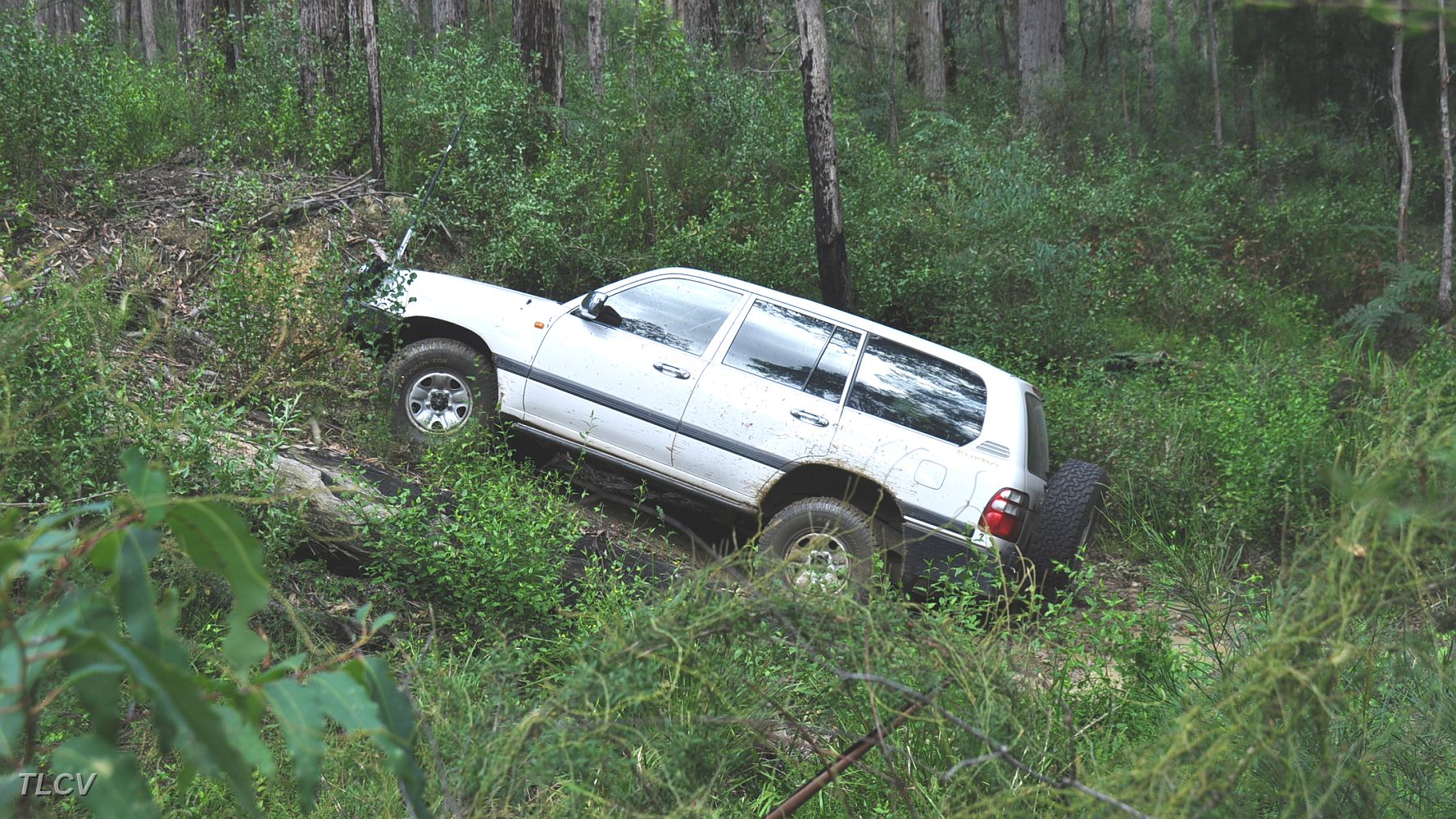 08-Cricket climbs Piepline Track.JPG
